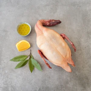 Duck
