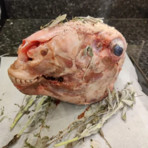 Lamb Head